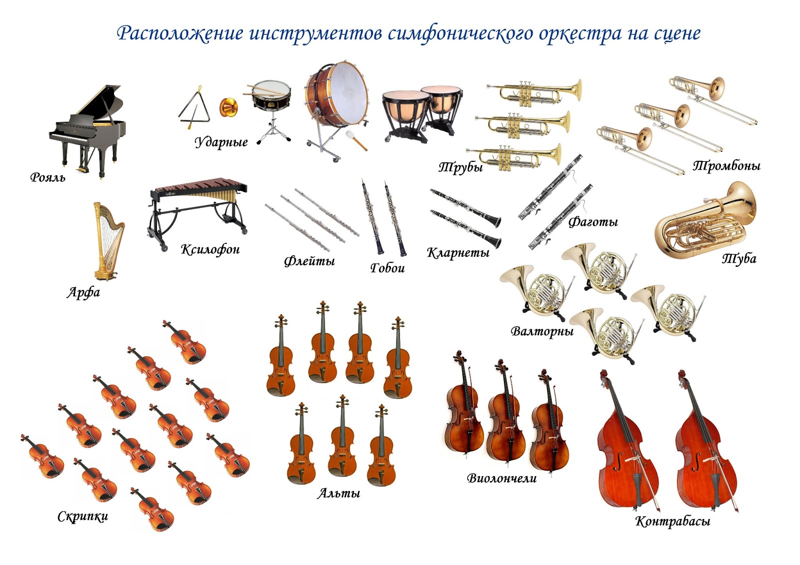 Струнные инструменты симфонического оркестра названия