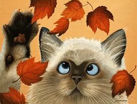 Кот и листья