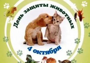 День защиты животных плакат