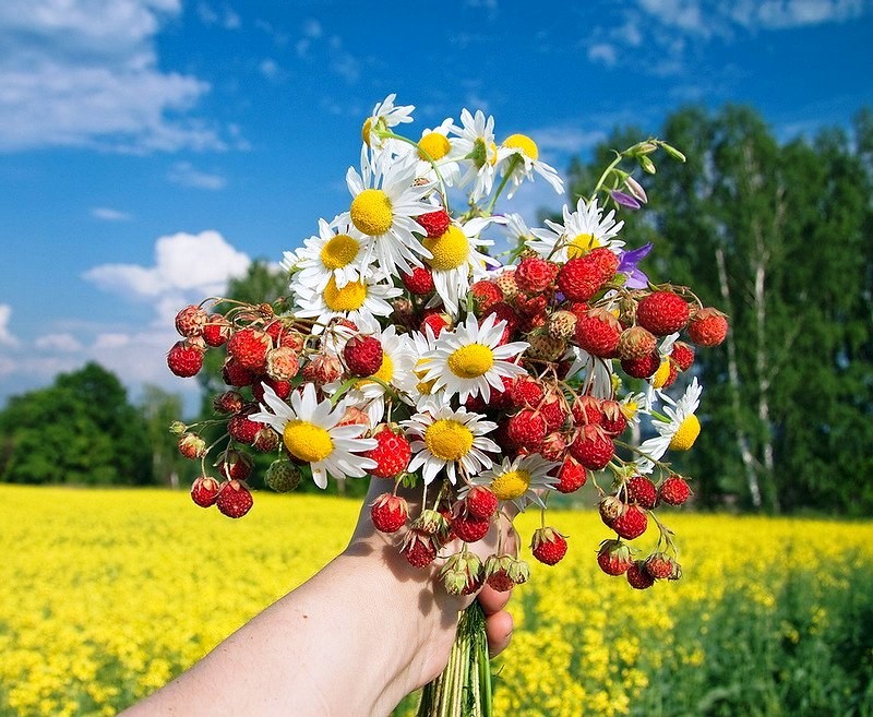 Поля с днем рождения картинки