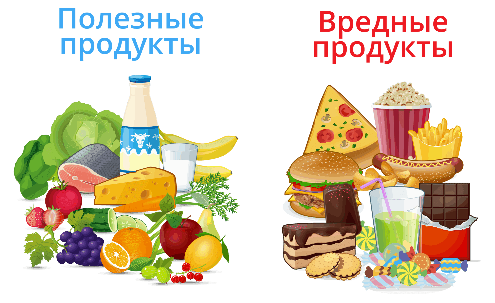 Полезные и вредные продукты питания